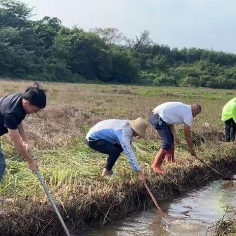 企堆村委会开展“六水共治”专项行动