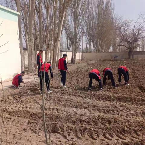 以劳树德，以劳育美——轮台县铁热克巴扎乡九年一贯制学校劳动基地实践活动