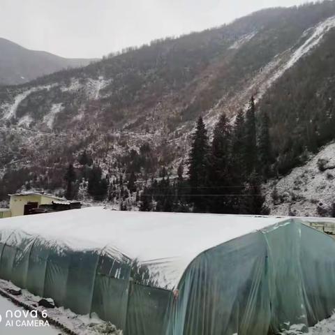 阿夏管护中心达拉辖区降雪情况