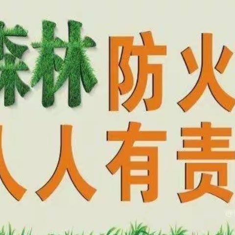 坚持的美篇