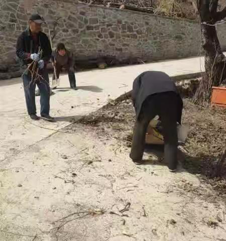 【柳埠街道】齐心协力整环境，美丽柳埠展如新！改善农村人居环境，建设美丽宜居乡村！