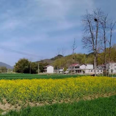 岩屋村党支部开展“大兴调研求实效　聚焦发展解难题”主题党日活动