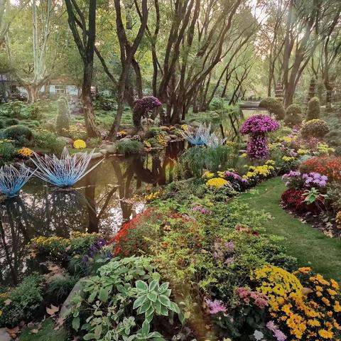 培训中心学前教育部第四幼儿园大班组自然科学课一月课程回顾