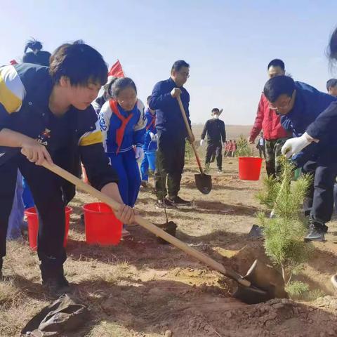 清水河县林业和草原局组织开展义务植树活动