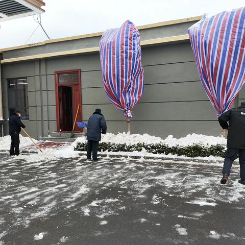 以“雪”为令   快速反应——屯子镇三角村积极应对雨雪冰冻灾害天气