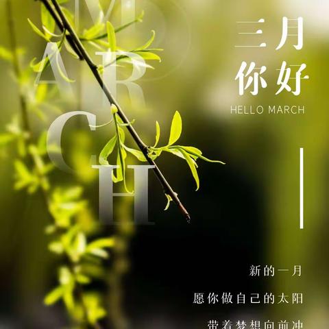 一二班第三周语文小结