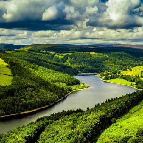 一二班第九周语文小结