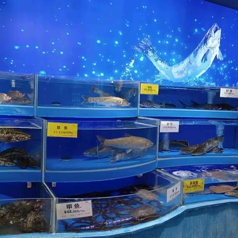 2月17日生鲜第二次开业陈列图片