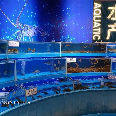 2月19日生鲜第二次开业陈列图片