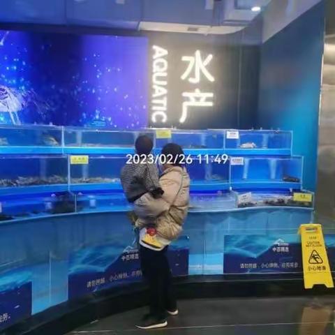 2月26日生鲜第二次开业陈列图片