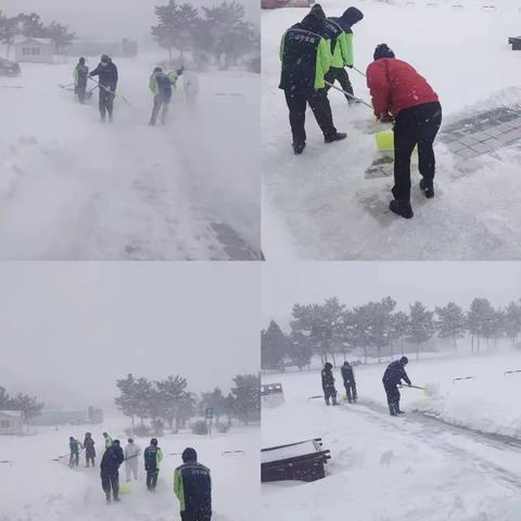 除积雪 保畅通 心中有群众