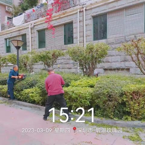 志联佳物业每周工作汇总（2023.3.6-3.12）