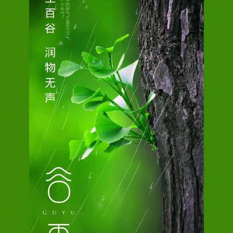 “雨生百谷”——碁山镇三庄幼儿园谷雨节气活动