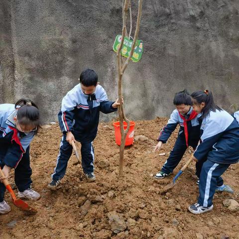 “播种绿色，放飞希望”恩施市实验小学201班植树节美篇