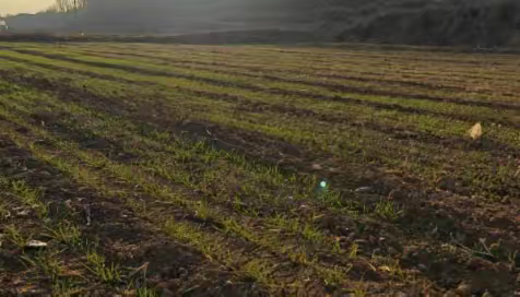 钢城区通过省级核查，持续推动春耕