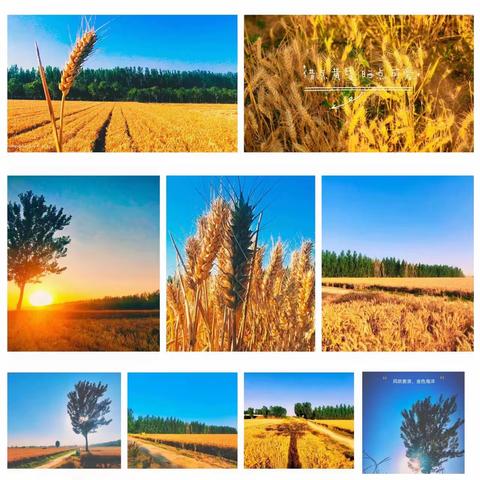 阳明山庄应急物业2023年半年度物业服务工作简报