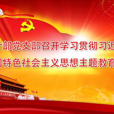 审计部党支部召开“学习贯彻习近平新时代中国特色社会主义思想主题教育”启动大会