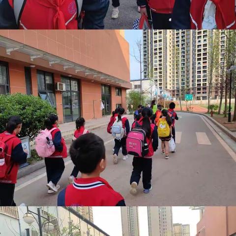 “践行劳动教育，助力五育并举”——四年级研学之旅纪实