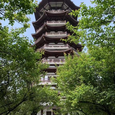 洋湖湿地公园三月工作简报