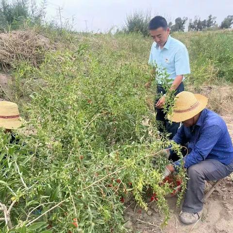 迎宾路营业所老年人服务宣传简讯