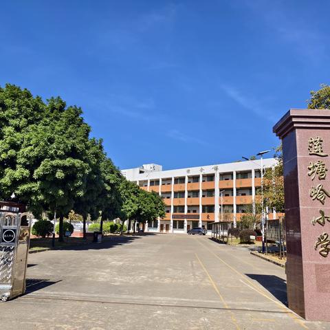 植树点燃校园春 少年共筑绿色梦——埔前镇莲塘岭小学植树活动记