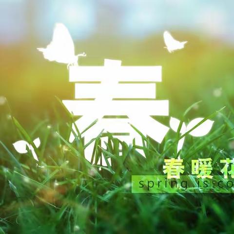 碧堤湾畔小区2023年2月份工作汇报