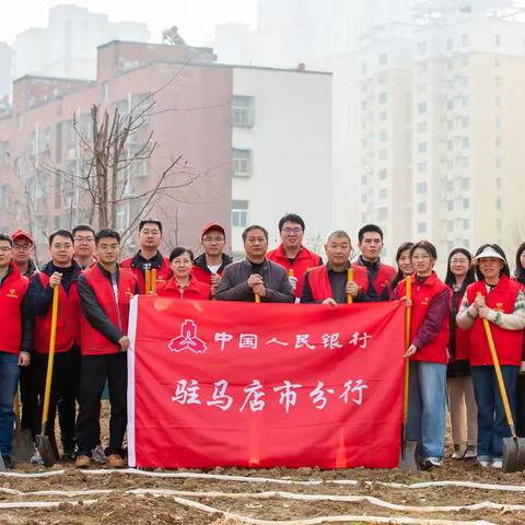 “与春相拥，为绿充“植”——驻马店市分行开展2025年植树活动（副本）（副本）