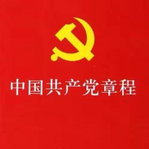 “党章学习日”主题党日活动主题教育、专题“组织生活会”、专题组织“民主评议党员”会