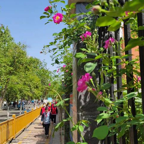 以美育智，花香满园——记济宁市第十二中学美景