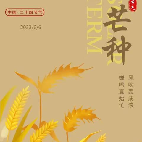 芒种芒种，幸福播种——西安市雁塔区第十一幼儿园芒种主题活动