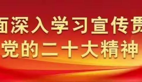 党建年会启新篇 凝心聚力开新局——李村镇后东毗村召开2023年度党建工作年会