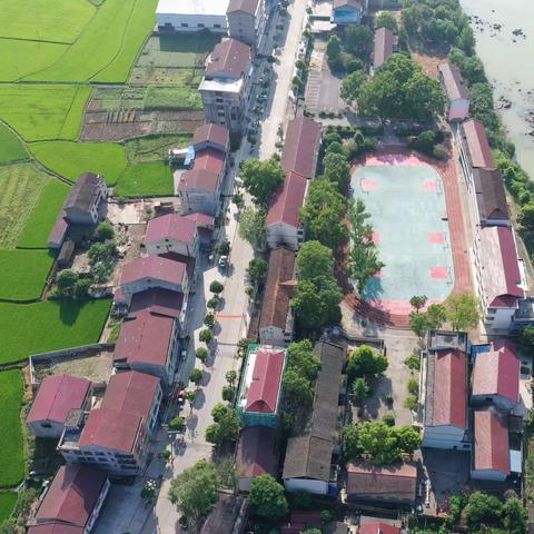 凉水井镇中学2023年第五周工作总结