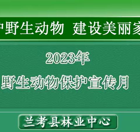 开封市2023年“野生动物保护宣传月”启动仪式在兰考举行