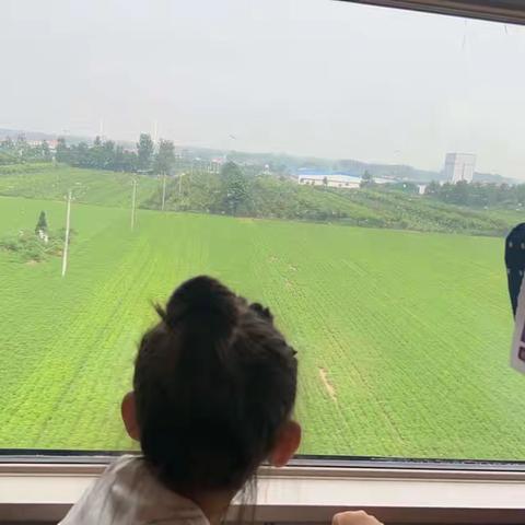 实验小学一年级三班王利萱的暑假生活