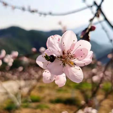 美好“食”光，因“味”有你——星光.泉塘幼稚园食谱