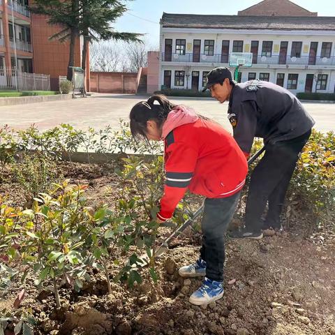 春风十里，正“植”有你——哑柏镇联星小学“3•12”植树节活动纪实