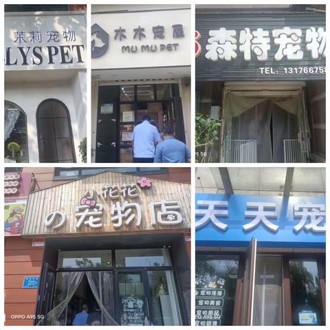 区动物疫病预防控制中心联合市农业综合执法支队对宠物店开展法律法规宣传服务和巡查工作