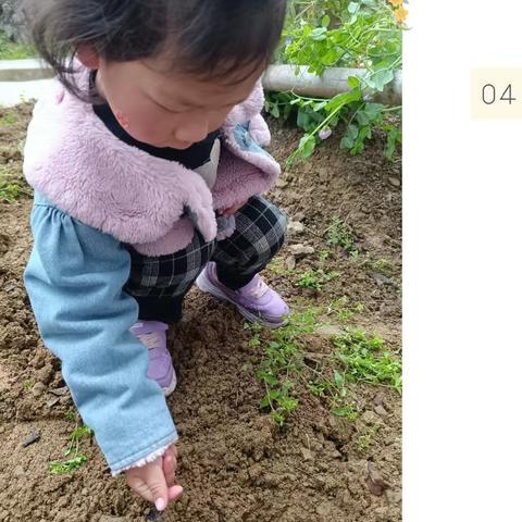 我们的“一亩三分地”