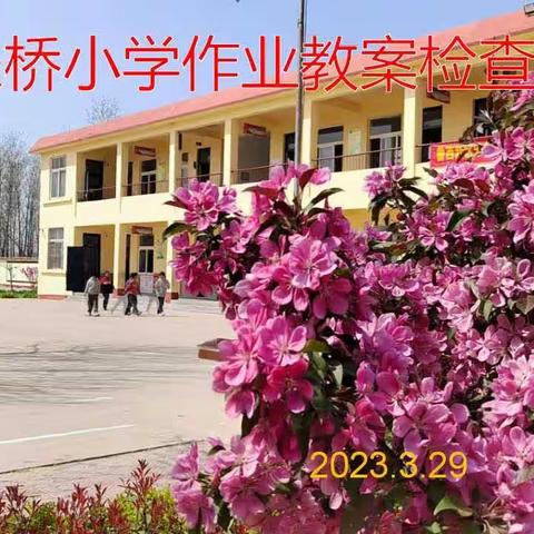 落实常规检查，促进质量提升——鲁西新区马岭岗镇朱桥小学进行作业教案检查