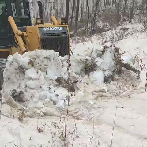 聚焦困难办实事 清理积雪解难题