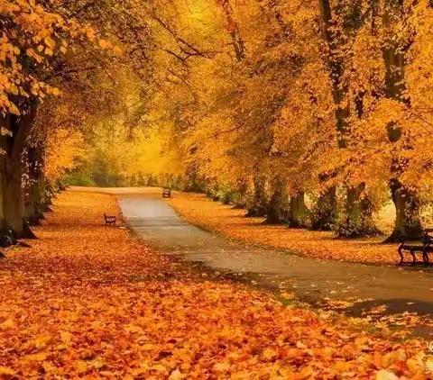 健康领域 ：预防感冒，从我做起—-妙峰山民族学校附属幼儿园     中二班