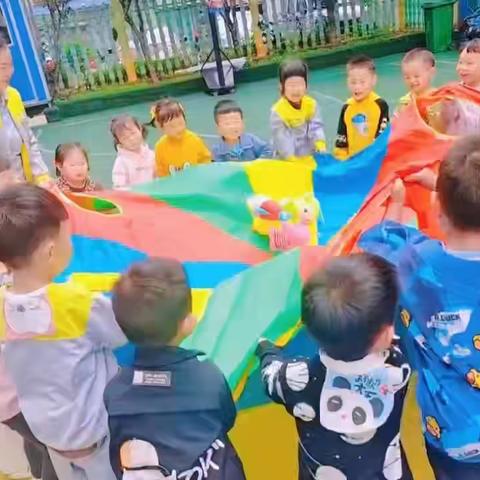 小一班第十四周快乐日常🥳🥳