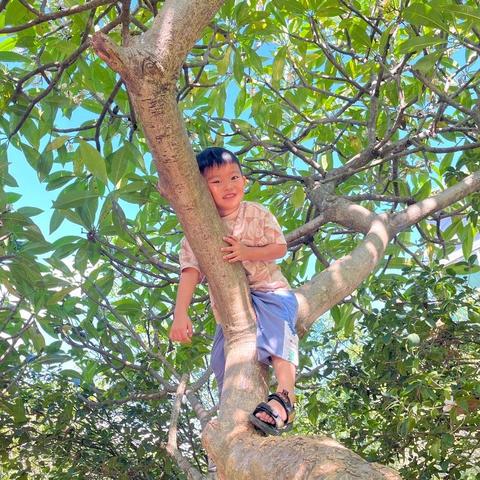 致小伙伴（7.8-7.12周报）