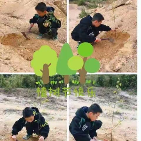 春风吹新绿    植树正当时———下洋中心小学3.12植树节主题活动