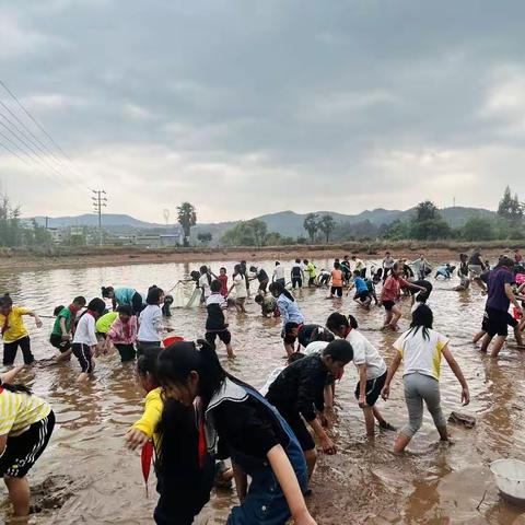 感受劳动之美，共享劳动快乐——雨露中心学校5.1主题活动