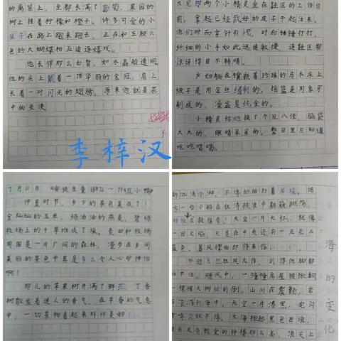 星级小朋友暑期作业展示