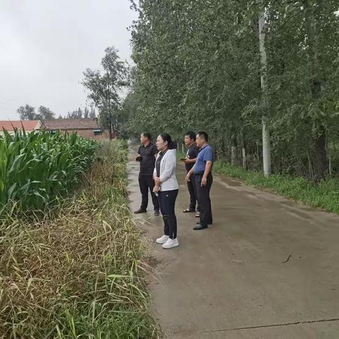 全力以赴排积水 争分夺秒保丰收——陈王街道