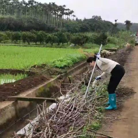 罗宝村治水中队开展河流环境大整治活动