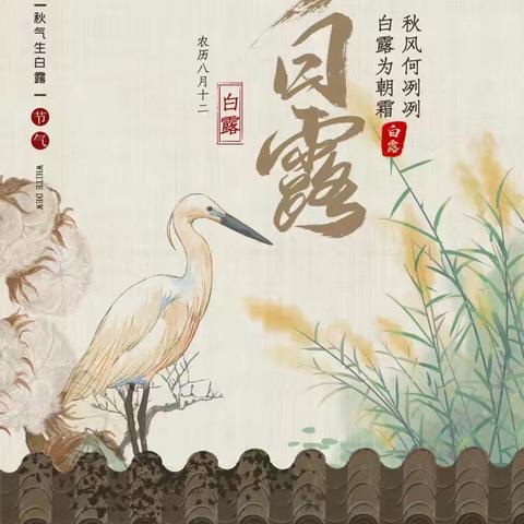 【中华优秀传统文化教育】夏暑渐消凉白露，恰迎微风衬晨曦—白露