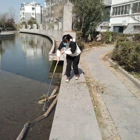 范蕾（文昌社区）的美篇